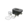 Kit Gruppo termico Cilindro in Ghisa D.43 Polini 140.0065/ST