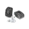 Kit Gruppo termico Polini 140.0133/10 per Piaggio SI 50