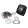 Kit Gruppo termico Cilindro in Ghisa D.46 Polini 142.0086