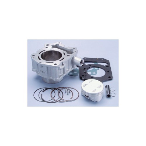 Kit Gruppo termico Polini 1.460.810 per Aprilia