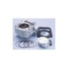 Kit Gruppo termico Polini 1.460.810 per Aprilia