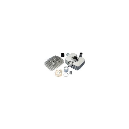 Kit Gruppo termico Polini 1.486.002 per GRUPPO TERMICO