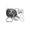 Kit Gruppo termico Polini 1.660.050 per Yamaha Chappy 50