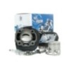 Kit Gruppo termico Polini 166.0076/R per Aprilia Scarabeo