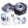 Kit Gruppo termico Polini 1.660.093 per Aprilia Scarabeo
