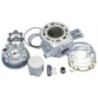 Kit Gruppo termico in Polini 1.660.111 per Malaguti F12