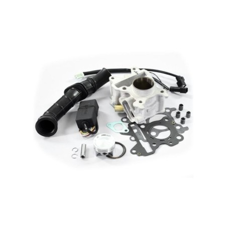 Kit Gruppo termico Polini 1.660.116 per Yamaha Aerox