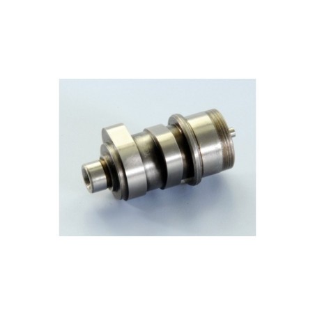 Kit Albero a Camme Polini 169.4002 per Piaggio Liberty 125