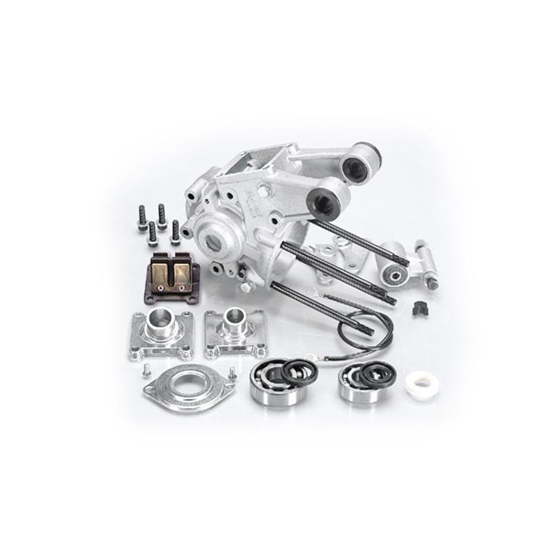 Carter Motore Completo con Supporto Motore Polini 170.0080