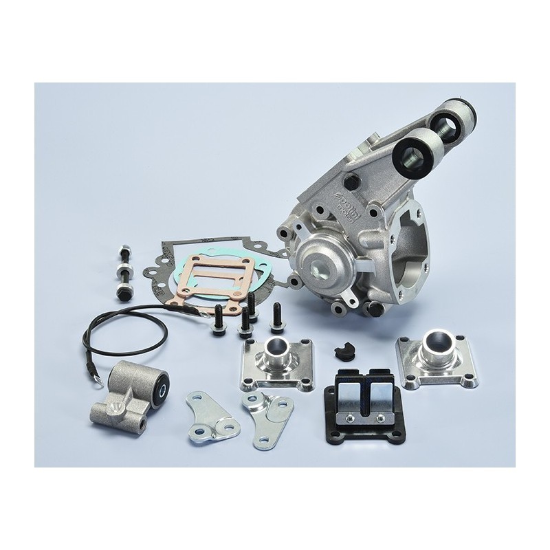 Carter Motore Completo Polini 1.700.090 per Peugeot SPX 50