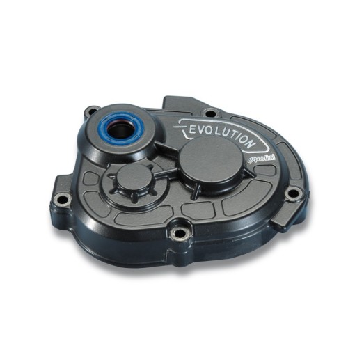 Ingranaggi Trasmissione D.16 Verniciato Nero Polini 170.0299