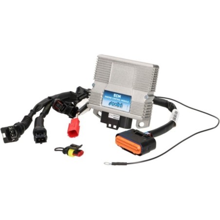 Centralina ECU Elettronica Polini 171.0017 per Piaggio