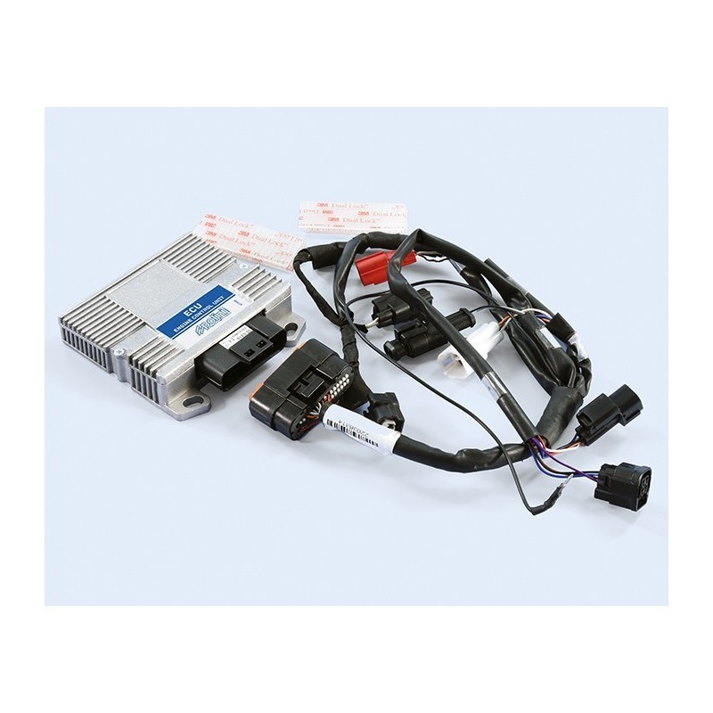 Centralina ECU Elettronica Polini 171.0018 per Piaggio