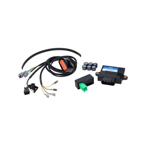 Centralina ECU Elettronica Polini 171.0021 per Peugeot