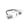 Centralina ECU Traction Control Polini 171.0400 per Yamaha