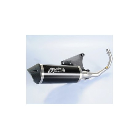 Marmitta Scarico Polini 190.0039 per Piaggio FLY 125
