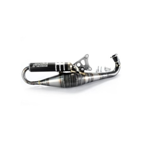 Marmitta Scarico BIG EVO 94cc Polini 200.0289 per Malaguti