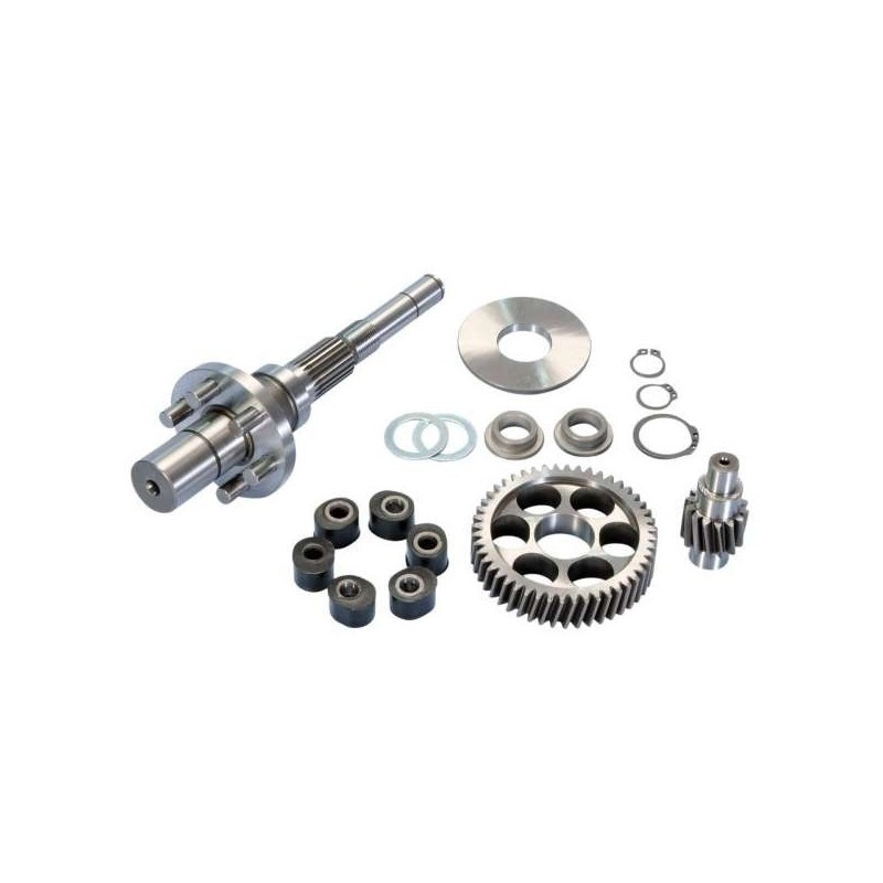 Kit Ingranaggi Rapporti Polini 2.021.409 per Piaggio NRG