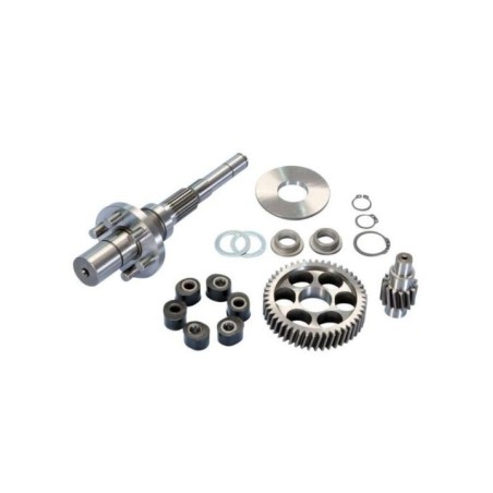 Kit Ingranaggi Rapporti Polini 2.021.409 per Piaggio NRG