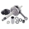 Albero motore Spalle Polini 2.100.020 per Piaggio ZIP SP