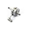 Albero motore EVO Polini 2.100.051 per Vespa 50 125