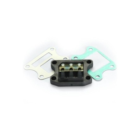 Lamellare Polini 213.0049 per Honda Bali SKY SH X8R DIO