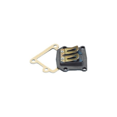 Lamellare Polini 213.0050 per MBK Booster Next Generation