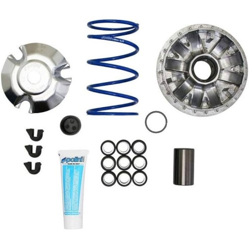 Kit Variatore HI Speed 9 Rulli Polini 241.665 per Piaggio
