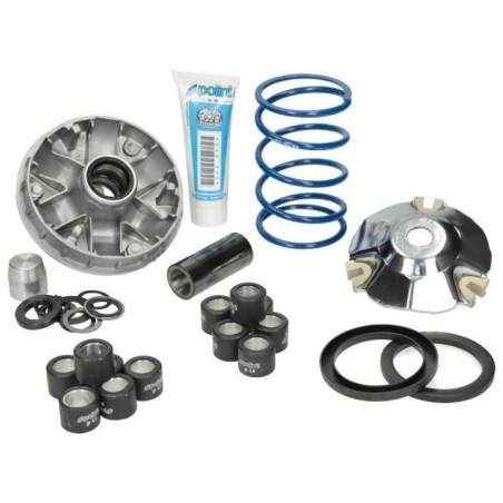 Kit Variatore HI Speed Evolution 2 D.14 8 Polini 241.750