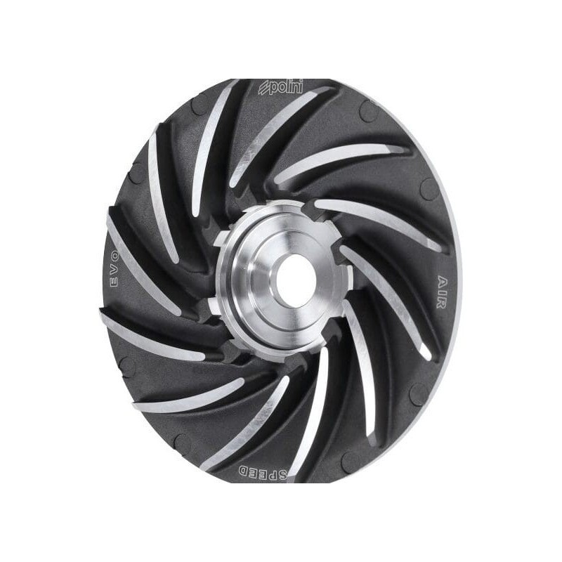 Variatore 14 Gradi Polini 244.0131 per Piaggio Free Liberty