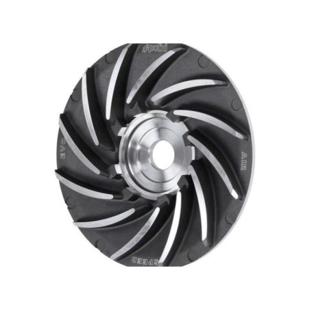 Variatore 14 Gradi Polini 244.0131 per Piaggio Free Liberty