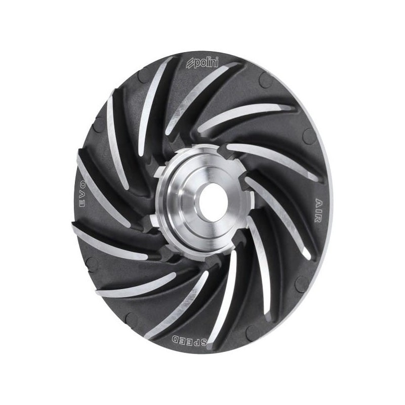 Variatore 12 5 Gradi Polini 244.0132 per Piaggio Free