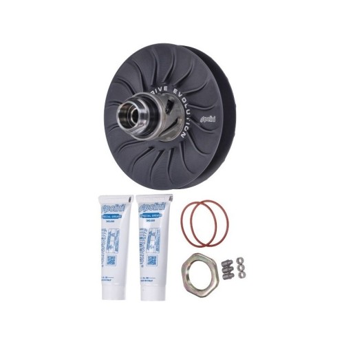 Kit Correttori di Coppia Evolution PRE D.134 Polini 244.0584