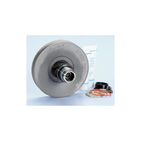 Kit Correttori di Coppia Speed Drive Polini 244.572 per Piag