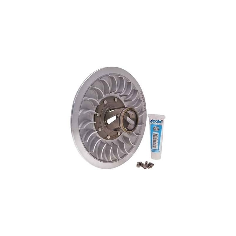 Puleggia Secondaria Mobile Speed Drive Polini 244.581 per Ya