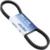 Cinghia Variatore Polini 248.005 per Piaggio ZIP Fast Rider