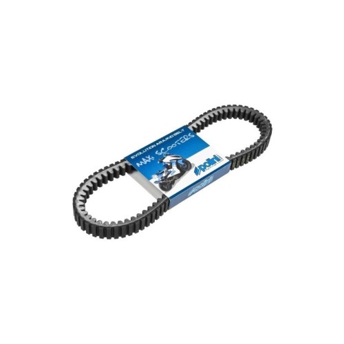 Cinghia Variatore Aramid Polini 248.066 per Piaggio Beverly