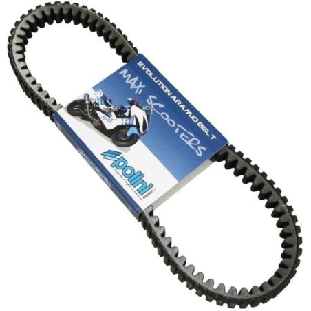 Cinghia Variatore Evolution Aramid Polini 248.069.1 per Piag