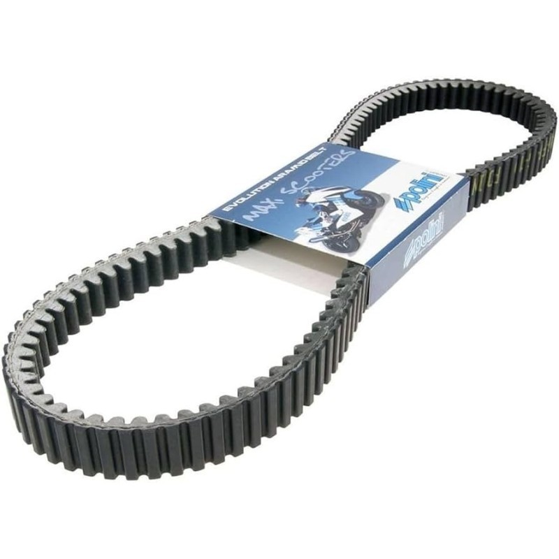 Cinghia Variatore Aramid Polini 248.088 per Piaggio Beverly