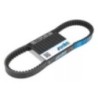 Cinghia Variatore Polini 248.117 per Yamaha BWS/Zuma 125 4T