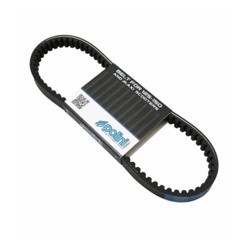 Cinghia Variatore Polini 248.118 per Yamaha Cygnus 125 x