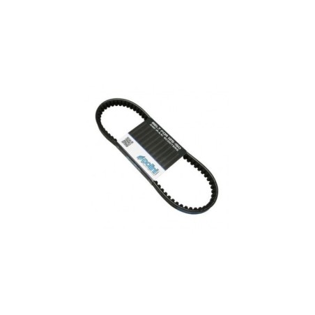Cinghia Variatore Polini 248.119 per Kymco Agility 125 150