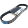 Cinghia Variatore Polini 248.120 per Piaggio Liberty 125