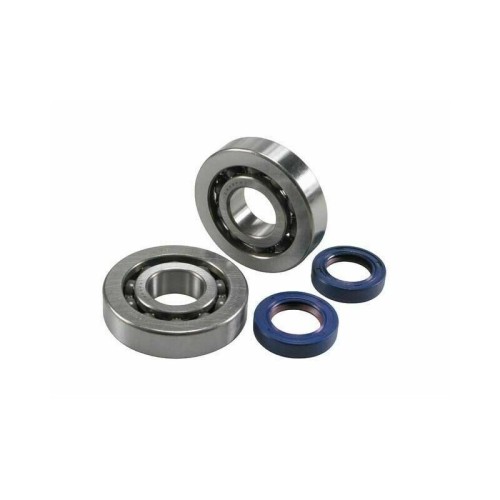Kit Revisione Albero Polini 2.820.001 per Piaggio ZIP SP