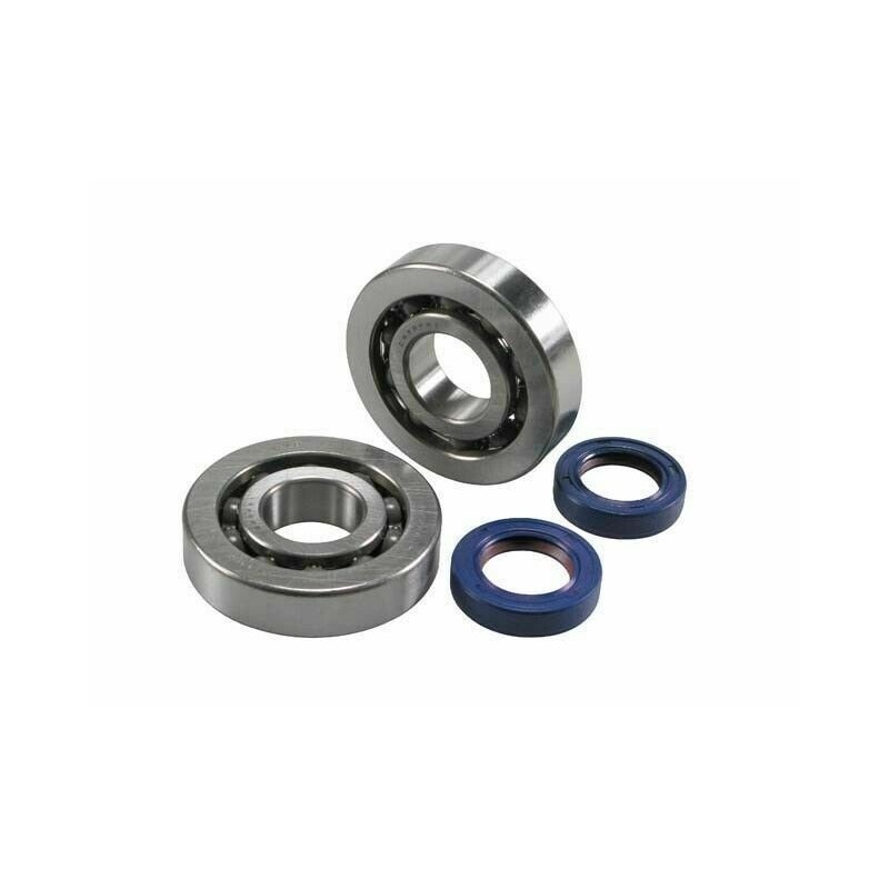 Kit Revisione Albero Polini 2.820.001 per Piaggio ZIP SP