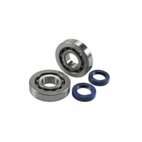 Kit Revisione Albero Polini 2.820.001 per Piaggio ZIP SP