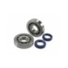 Kit Revisione Albero Polini 2.820.001 per Piaggio ZIP SP
