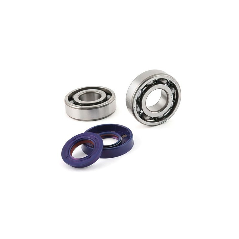 Kit Revisione Albero Polini 2.820.002 per Aprilia