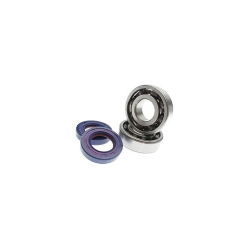 Kit Revisione Albero Polini 2.820.004 per Aprilia RX SX