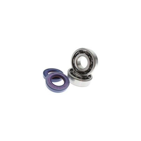 Kit Revisione Albero Polini 2.820.004 per Aprilia RX SX